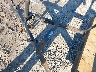 4YMBU1218KV****** Salvamento 2019 Carry-On Trailer Carry-On Trailer en Boston Shirley