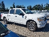 1FTFW1E88MF****** Used 2021 Ford F-150 in Washington State