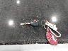 JTKDE167580****** Salvage 2008 Scion TC in New York State