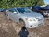 4T1BE46K49U****** Salvage and Wrecked 2009 Toyota Camry in Taunton