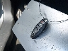 1N4AL3AP8HC****** Salvage 2017 Nissan Altima in California State