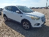1FMCU0G9XHU****** Salvage and Wrecked 2017 Ford Escape in Corpus Christi