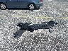 3GNAXHEG9TL****** Wrecked 2026 Chevrolet Equinox in Florida State