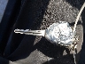 JTDKT4K35A5****** Salvage 2010 Toyota Yaris in New Jersey State