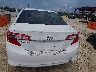 4T1BF1FK2DU****** Wrecked 2013 Toyota Camry