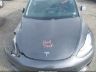 5YJ3E1EAXKF****** Repairable 2019 Tesla Model 3 in Elkton