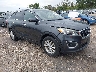 5XYPGDA50HG****** Salvage and Wrecked 2017 Kia Sorento in Appleton