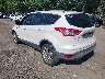 1FMCU9H99DU****** Salvamento y Reparables 2013 Ford Escape en Providence
