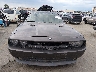 2B3LJ54T79H****** Destrozados 2009 Dodge Challenger en Estado de California