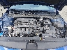 5NPLS4AG9PH****** Repairable 2023 Hyundai Elantra in Englishtown