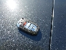 WA1LFAFP7BA****** Salvage 2011 Audi Q5 in North Carolina State