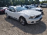 1ZVBP8AM0B5****** Salvamento y Destrozados 2011 Ford Mustang en Knoxville