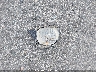 JH2SC2803RM****** Salvage 1994 Honda CBR900RR in North Carolina State