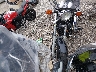 1HFSC1806GA****** Usados y Reparables 1986 Honda Vt1100 en Estado de Illinois
