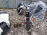 1HFSC1806GA****** Salvamento y Reparables 1986 Honda Vt1100 en Estado de Illinois