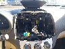 KMHDU46D99U****** Destrozados 2009 Hyundai Elantra