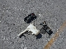 1N6DD26S31C****** Wrecked 2001 Nissan Frontier in California State