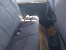 1C4AJWAG3EL****** Destrozados 2014 Jeep Wrangler en Tampa