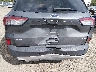 1FMCU0CZ9MU****** Used 2021 Ford Escape