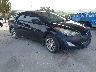 5NPDH4AE8DH****** Salvage and Wrecked 2013 Hyundai Elantra in Tampa