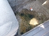 1HGCG5550WA****** Repairable 1998 Honda Accord in Washington State