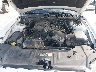 1ZVBP8AM8D5****** Repairable 2013 Ford Mustang in Pensacola