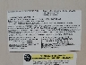 4YDT27726FB****** Reparables 2015 Keystone Keystone en Estado de California