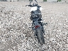 JKAEREG14HD****** Salvamento y Reparables 2017 Kawasaki Er650 en Estado de Nebraska