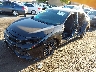 SHHFK7H42MU****** Used and Repairable 2021 Honda Civic in Ace Perris