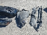 WA1LFAFP3CA****** Repairable 2012 Audi Q5