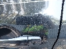 JN1BJ1CP6JW****** Salvamento y Reparables 2018 Nissan Rogue Sport en Estado de Nueva Jersey