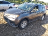 JTMBFREV3ED****** Usados y Reparables 2014 Toyota RAV4 en Long Island