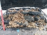 WBANV93588C****** Repairable 2008 BMW 535xi in Minneapolis South