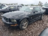 1ZVHT80N265****** Usados y Reparables 2006 Ford Mustang en Cincinnati