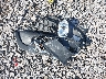 MAJ6S3FL0LC****** Destrozados 2020 Ford Ecosport en Estado de Nueva York