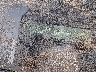KNMAT2MV5HP****** Wrecked 2017 Nissan Rogue