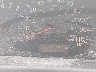 2T1BR30E47C****** Salvage 2007 Toyota Corolla in Nashville
