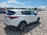 KNDPN3AC7L7****** Salvage and Wrecked 2020 Kia Sportage in Florida State