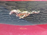 1ZVFT82H175****** Wrecked 2007 Ford Mustang in South Carolina State