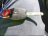 2HGFA168X6H****** Salvamento 2006 Honda Civic en Estado de California
