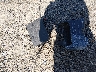JM1NC25F360****** Wrecked 2006 Mazda MX-5 in New Jersey State
