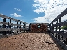 1HTSCAAM5WH****** Salvage and Repairable 1998 International 4000 in Pennsylvania State