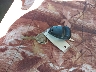 1GCEK14T44Z****** Salvage 2004 Chevrolet Silverado 1500 in Texas State