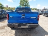 1FTFW1R66DF****** Wrecked 2013 Ford F-150