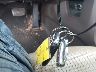 5XYZU3LB0DG****** Salvage 2013 Hyundai Santa Fe in Texas State