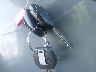 JF2SJADC8GH****** Salvage 2016 Subaru Forester in Florida State