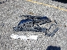 JM1GJ1V57G1****** Destrozados 2016 Mazda 6 en Estado de California