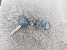 JHLRD78852C****** Salvage 2002 Honda CR-V in Illinois State