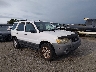 1FMCU03187K****** Salvage and Wrecked 2007 Ford Escape in Little Rock