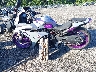 MLHPC4463G5****** Repairable 2016 Honda Cbr500 in Massachusetts State